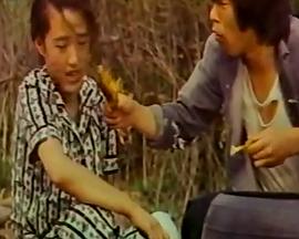 树林里的傻瓜封面图