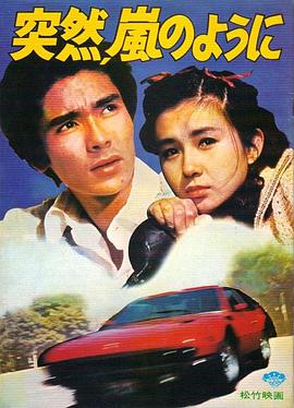 突如其来，宛如风暴封面图