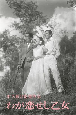 求爱的人封面图