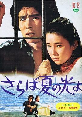 再见，夏日之光封面图