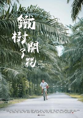 铁树开了花封面图