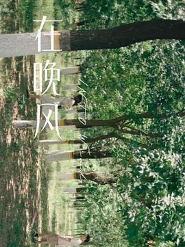 在晚风封面图