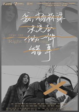 我，杨栋梁，决定去做一件错事封面图