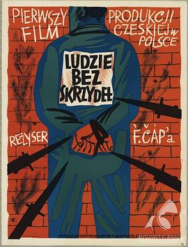 没有翅膀的男人封面图