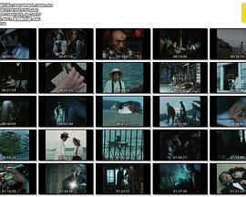 丽猫传说封面图