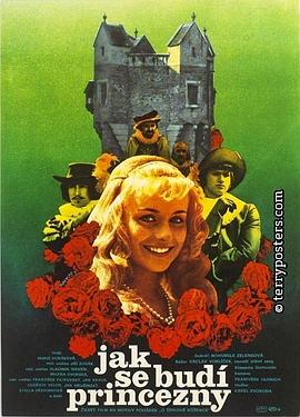 唤醒公主封面图