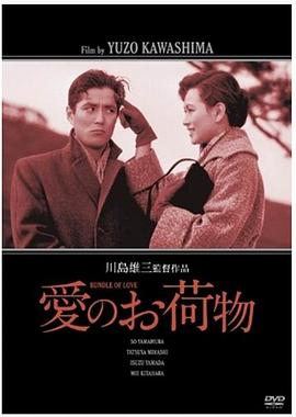 爱之负担封面图