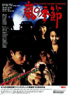 台风季节封面图