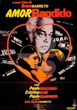 土匪的爱封面图