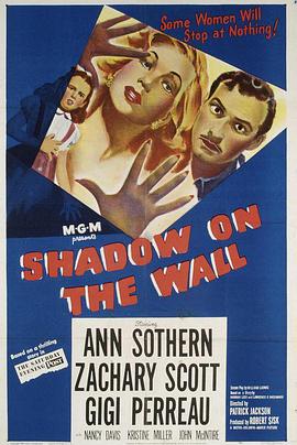 墙上的影子封面图