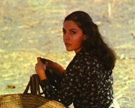 曼努埃拉封面图