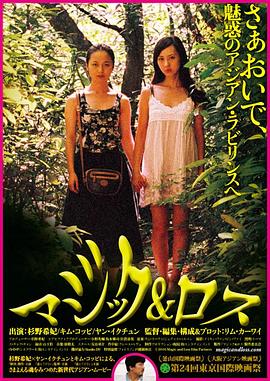 魔法迷失封面图