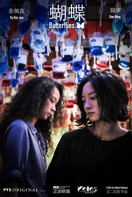 蝴蝶封面图