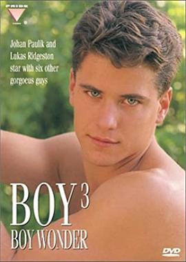 男孩3：青年才俊封面图