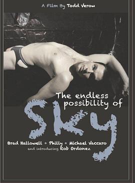 天之无尽封面图