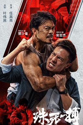 殊死一搏封面图