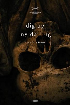 掘出我的挚爱封面图