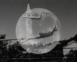 是非之外有座花园，你我相遇于此封面图