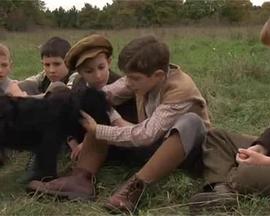 A napfényben fürdö kastély封面图