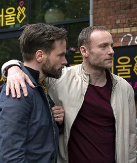 陌生的女儿封面图