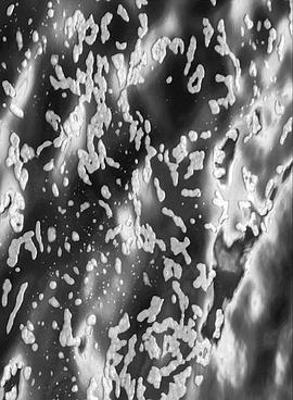 Indefinite Pitch封面图