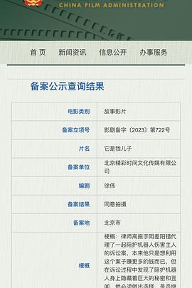 它是我儿子封面图