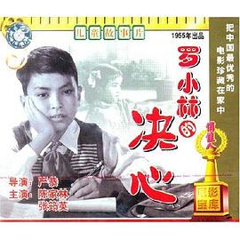 罗小林的决心封面图