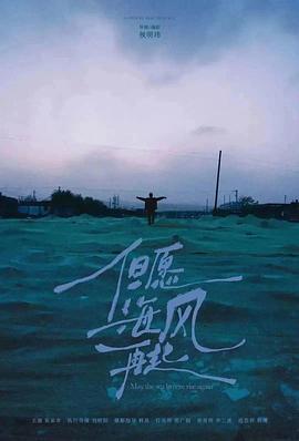 但愿海风再起封面图