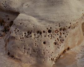 A Human Certainty封面图