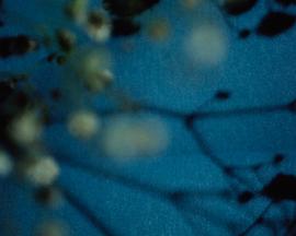 臨摹（另一種版本）封面图