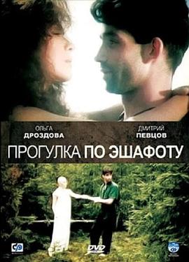 走在脚手架封面图