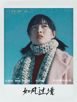 如风过境封面图