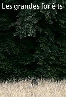 莱斯格兰德斯封面图