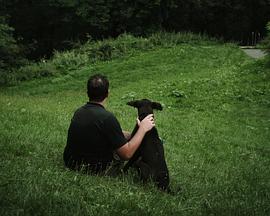 一个星期天的早晨封面图