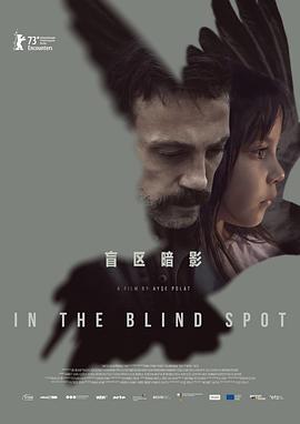 盲区暗影封面图