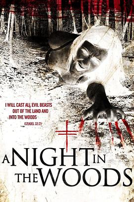 林中之夜封面图