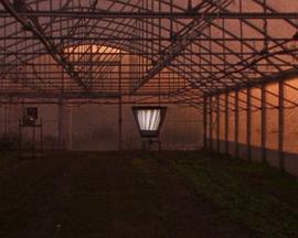 转出小宇宙封面图