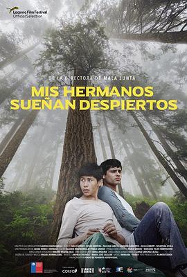 少年梦醒封面图