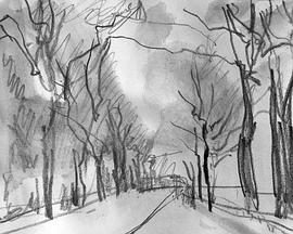 盲人作家封面图