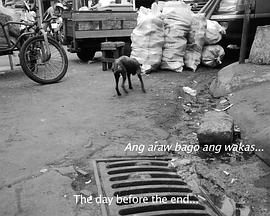 末日前的一天封面图