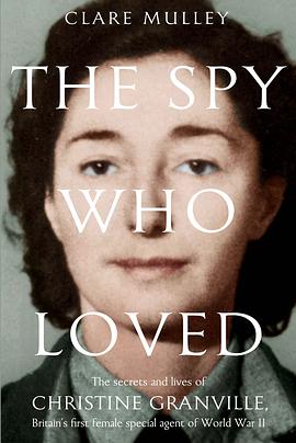 爱的间谍封面图