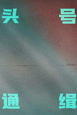 头号通缉封面图