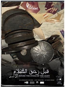 在光消逝之前封面图