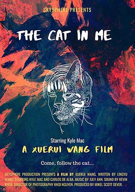 猫，看到了我封面图