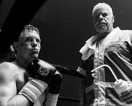 拳赛之日封面图