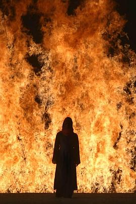 烈火中的女子封面图