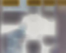 风的影子封面图