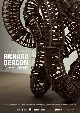 In Between - Der britische Künstler Richard Deacon封面图