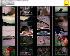 北美老鼠的生活与饮食封面图