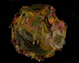 Wasteland No. 3: Moons, Sons封面图